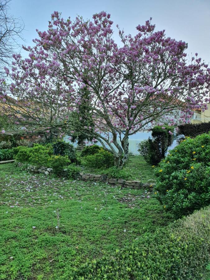 Bed and breakfast Comfy Sintra Extérieur photo