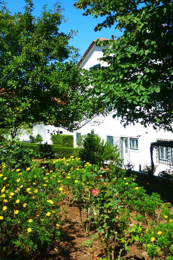 Bed and breakfast Comfy Sintra Extérieur photo